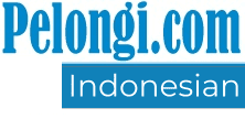 Pelongi.com - Pembesaran dan pemanjangan penis